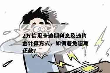 信用卡欠款两万：快速还款攻略，避免逾期利息划算又实用