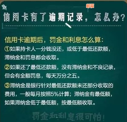 信用卡欠款未还款：原因、后果及解决方案一览