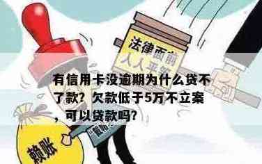 '信用卡欠款低于5万不予立案，没还完信用卡能贷款吗？可以注销吗？'