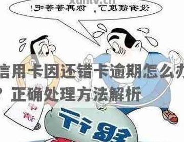 2张信用卡还款还错了，怎么处理？银行信用卡还款错误解决方法