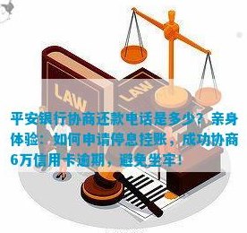 全面解决信用卡逾期还款问题：平安i贷代还服务审核流程详解