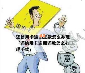 洱地区提供信用卡还款服务的正规机构