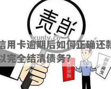 如何全面还清信用卡债务：完整指南和实用建议