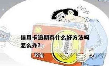 信用卡使用指南：如何安全有效地使用信用卡，避免逾期和费用等问题