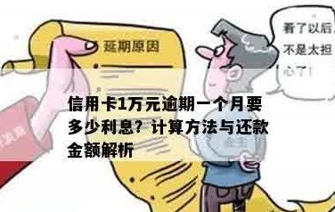 逾期还款知识：1万元信用卡还款利息和手续费计算