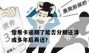 信用卡贷款可以不分期还吗