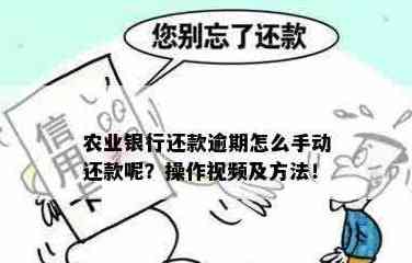 农业银行信用卡逾期还款操作指南：如何用农行还其他银行卡款项