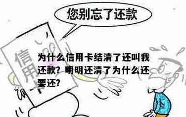 为什么信用卡还款后显示已还清？解决用户疑惑的相关问题解析