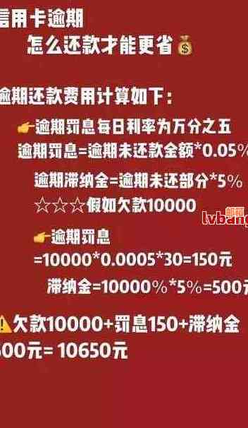 了解信用卡低息还：如何影响你的信用评分及还款计划？