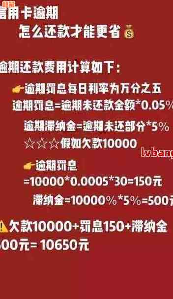 了解信用卡低息还：如何影响你的信用评分及还款计划？