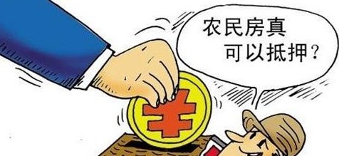 揭秘低息贷款的真相：潜在风险与应对策略