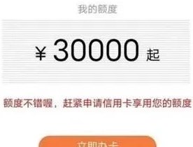 别人帮忙还信用卡会看到应还金额吗？安全吗？如何处理？