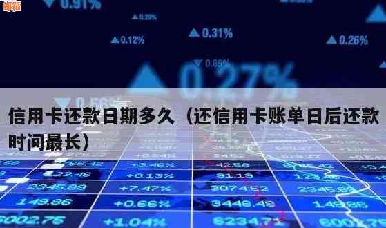 信用卡还款周期选择：按月还是按年？