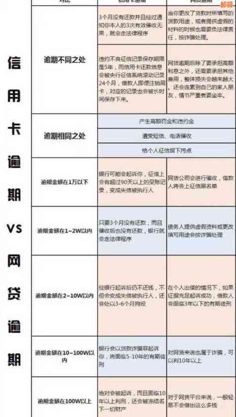 在文山地区，哪些银行信用卡可供选择？