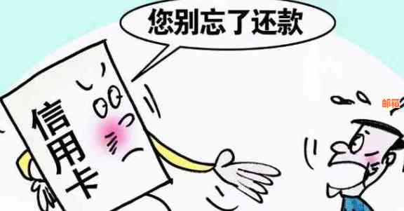 朋友将信用卡借我使用，现在无力还款的解决策略与建议