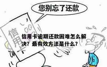 女朋友信用卡逾期还款困境：如何应对？