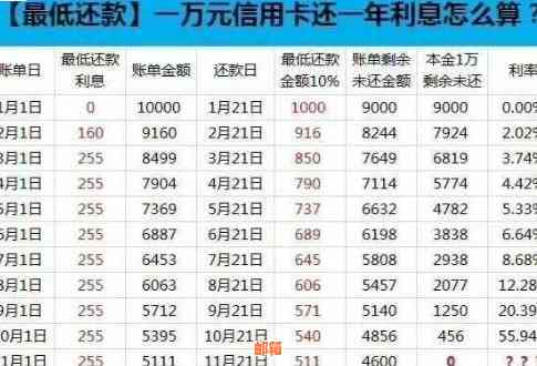 欠信用卡钱60期怎么还款最划算？政策解析与解决方法