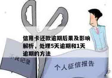 信用卡还款次数与逾期之间的关系：一年还5次算逾期吗？了解详细情况