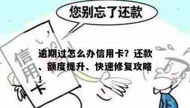 如何在信用卡还款后再迅速恢复信用额度？这里有一些实用的操作技巧