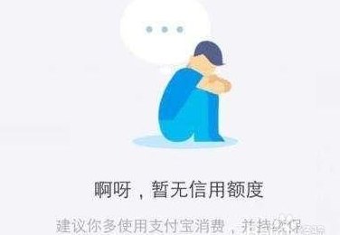 信用卡还借呗突然没有了额度，怎么办？