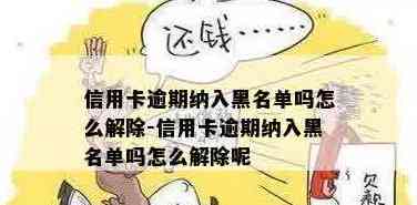 还信用卡怎么不被黑掉钱