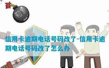 还信用卡时需要提供手机号吗？安全性如何保障？