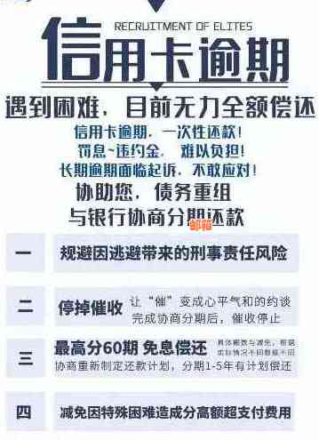 全方位指南：如何协助您的配偶偿还信用卡债务，从策略到实践步骤