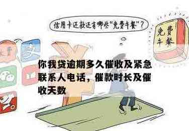 民贷款逾期后的方式：电话与联系人探讨