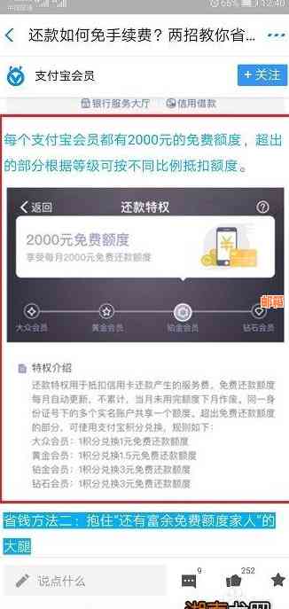 支付宝还信用卡免收费