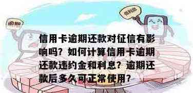 信用卡还款利息及违约金全解：具体计算方法、影响及如何避免