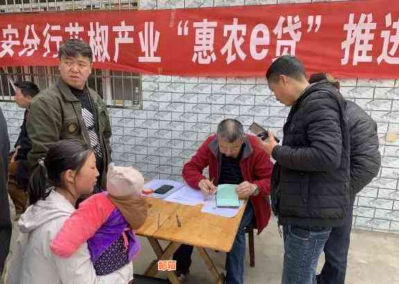 农行快e付信用卡：全方位了解、申请、使用指南，解决您的所有疑问