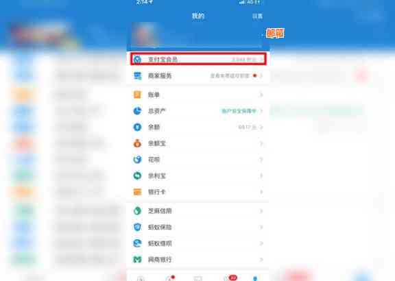 支付宝怎么直接信用卡还款：免费、多种方式，轻松搞定！