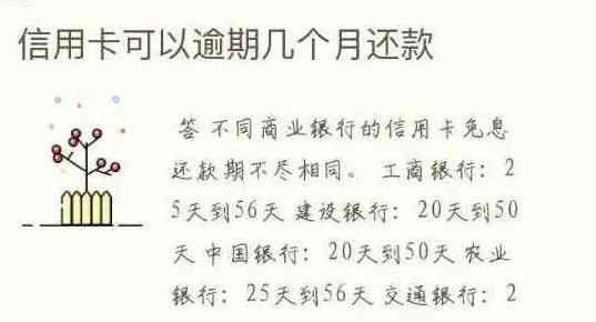 错过信用卡还款期限一天的影响及处理方法