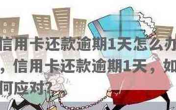 超过一天还信用卡