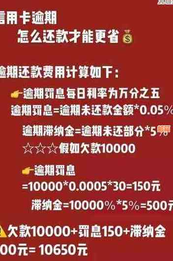 先还小贷还是先还信用卡？哪个还款顺序更重要？