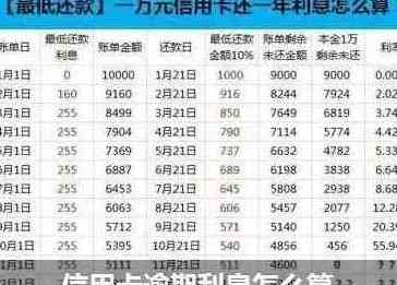 信用卡1万还2万利息计算方法及逾期影响分析