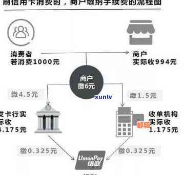 探讨信用卡交易的快速到账机制及可能的情况分析