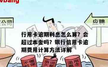 信用卡欠款利息计算方法详解：从本金到逾期罚息全面解析