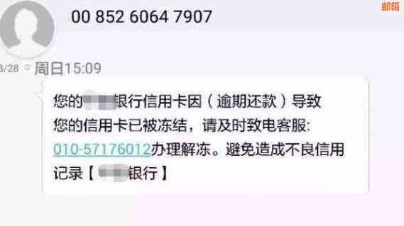 在财务困境中，网贷和信用卡哪个应优先还款？