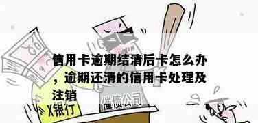 还清逾期信用卡债务后，如何安全注销银行信用卡