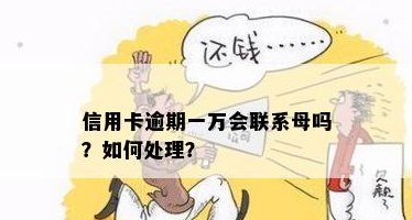 找母要一万钱还信用卡