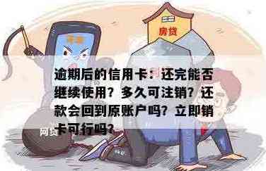 信用卡还款完成后：销户还是注销？全面解析及操作步骤