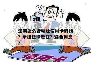 信用卡还款：合法方式与注意事项，如何避免触犯法律？