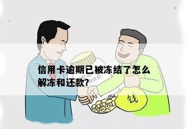 冻结信用卡还款操作及解冻方法全面解析：我还能进行还款吗？