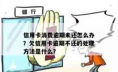 不想还信用卡了怎么办？如何处理欠款和避免逾期？