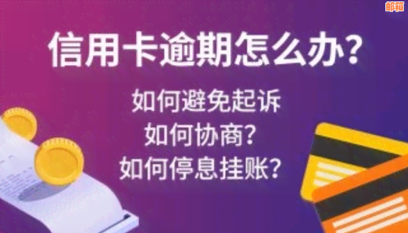 逾期还款策略：如何有效管理和减少信用卡和网贷成本