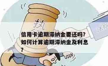 信用卡逾期还款超过4天会产生滞纳金吗？如何避免信用卡滞纳金及相关费用？