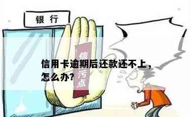 信用卡逾期还款后果大揭秘：还不上怎么办？