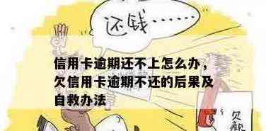 信用卡逾期还款后果大揭秘：还不上怎么办？