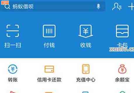 钻石会员专享支付宝信用卡还款指南：全方位解析操作步骤与注意事项